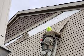 Best Siding Painting and Refinishing  in Superior, AZ